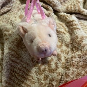 JAAG Plush Pig Children's Purse 11"